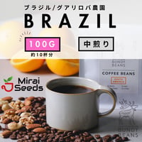 100g 【ブラジル グアリロバ農園 アラーラ】 中煎り