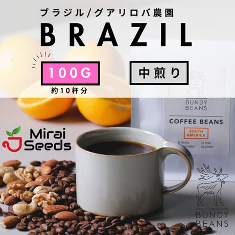 100g 【ブラジル グアリロバ農園 アラーラ】 中煎り