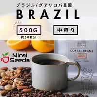 500g 【ブラジル グアリロバ農園 アラーラ】 中煎り