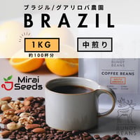 1000g 【ブラジル グアリロバ農園 アラーラ】 中煎り