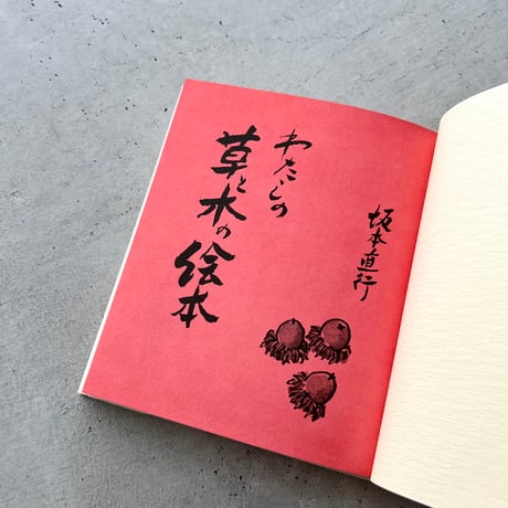 わたしの草と木の絵本