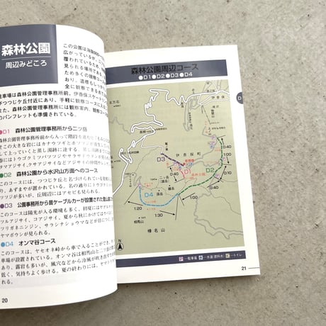 野山の花をたずねて⠀榛名山編