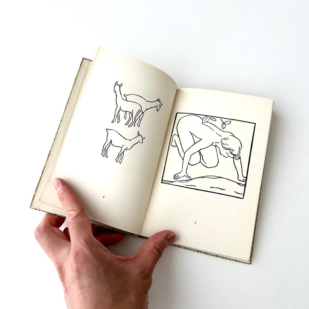 インゼル文庫 604番 羊飼いの生活 | suiran