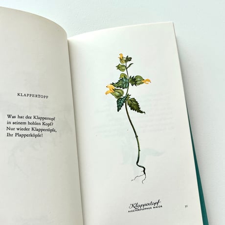 Heiteres Herbarium：Blumen und Verse