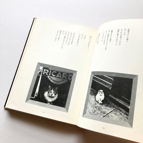 猫の航海日誌