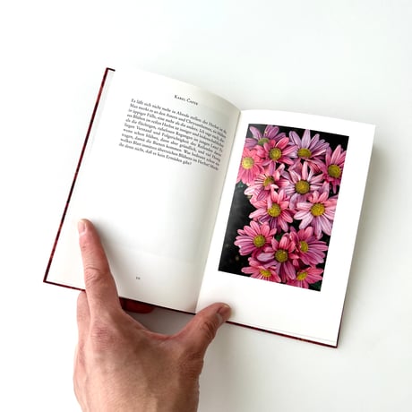 インゼル文庫　1286番　この世の美：秋の花々