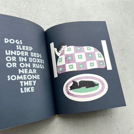 SLEEPY BOOK