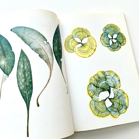 FLORA