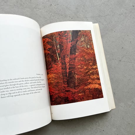 In wildness is the  preservation of the world
