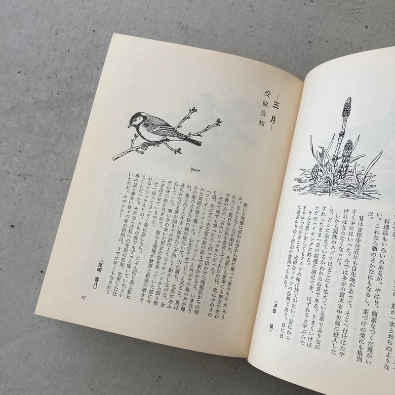 【新品】書家 前田鎌利 直筆色紙（福寿）真筆保証 落款あり 孫正義 自然手帖 | suiran