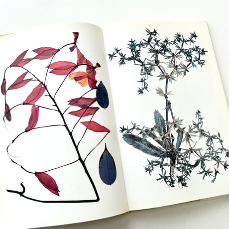 FLORA