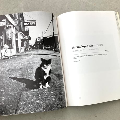 ニューヨークの猫たち