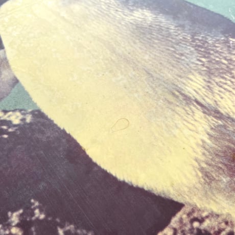 ペンギンのパネル