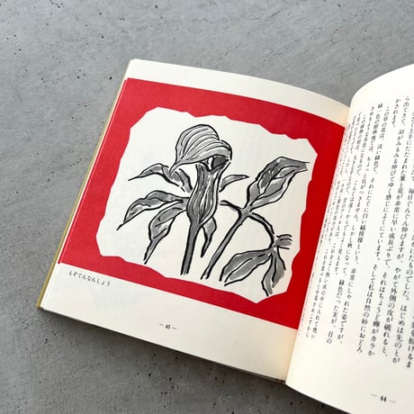 わたしの草と木の絵本
