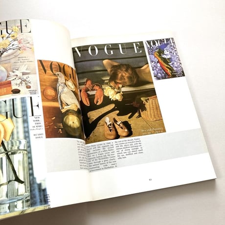 The Art of Vogue Photographic Covers
