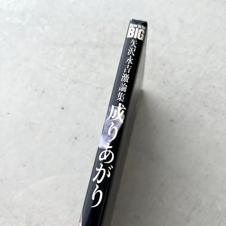 成りあがり　矢沢永吉激論集