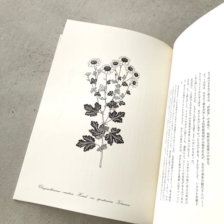 私の植物図鑑