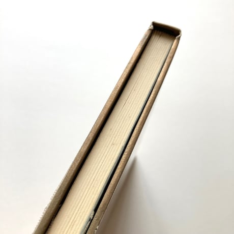 癩王のテラス