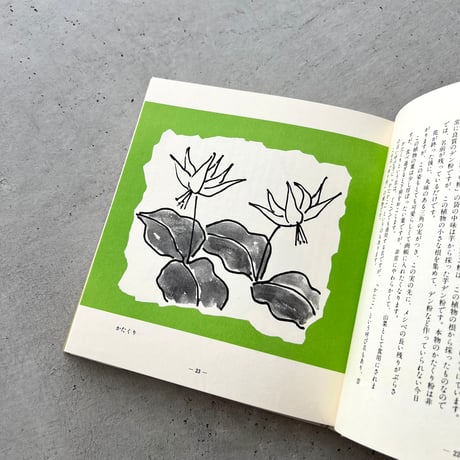 わたしの草と木の絵本