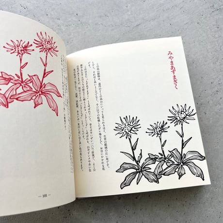 わたしの草と木の絵本