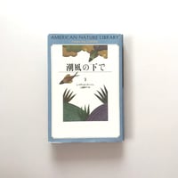 潮風の下で