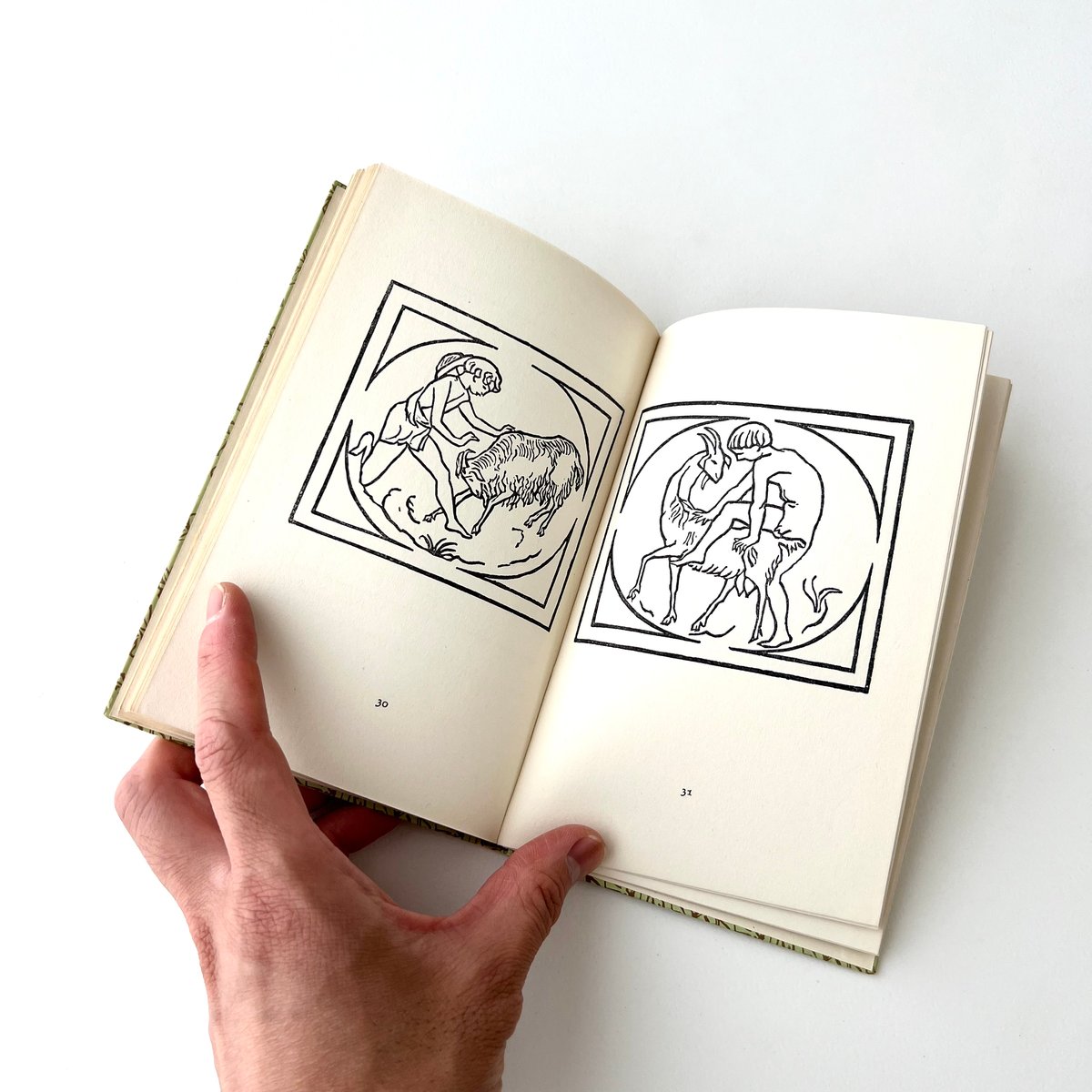 インゼル文庫 604番 羊飼いの生活 | suiran