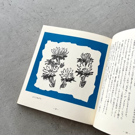 わたしの草と木の絵本