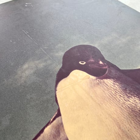 ペンギンのパネル