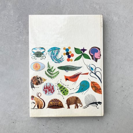 Les Merveilles de La Vie　生物学事典
