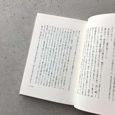星を撒いた街