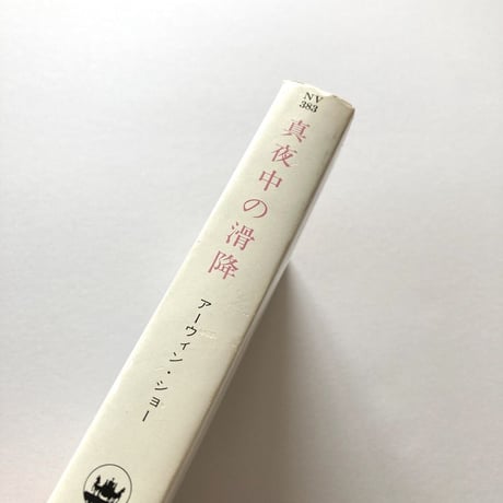 真夜中の滑降