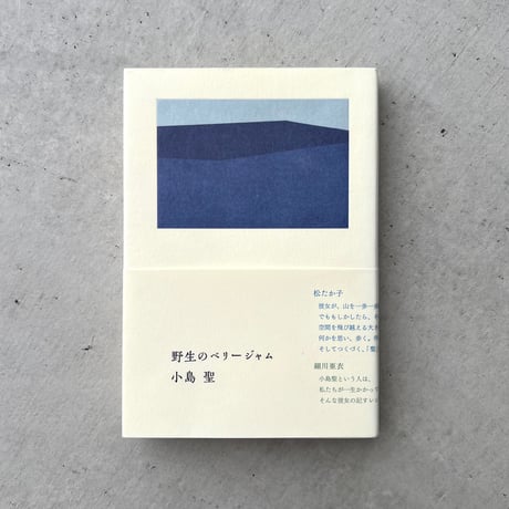 野生のベリージャム