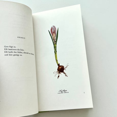 Heiteres Herbarium：Blumen und Verse