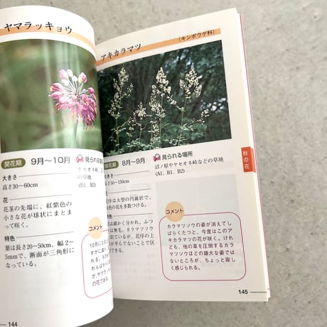 野山の花をたずねて⠀榛名山編