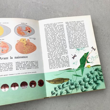 Les Merveilles de La Vie　生物学事典