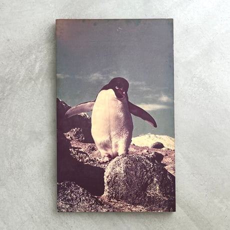 ペンギンのパネル