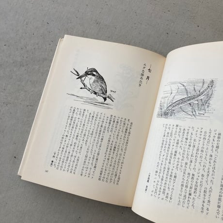 自然手帖