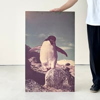 ペンギンのパネル