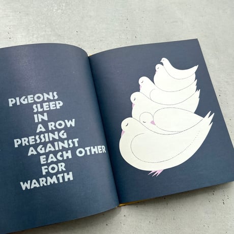 SLEEPY BOOK