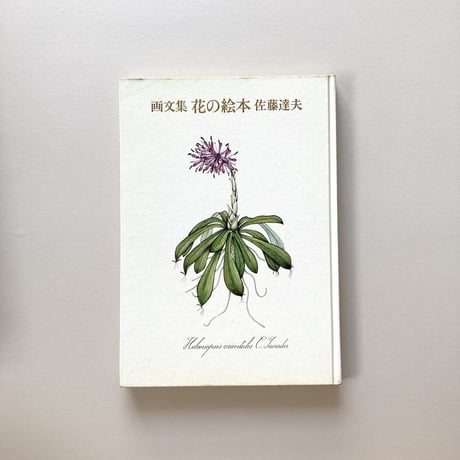 画文集 花の絵本