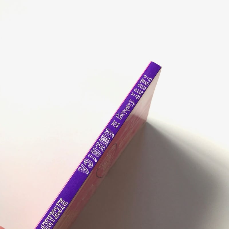 TROUT fishing in AMERICA | suiran