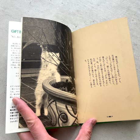ねこ・ねこ・ねこ！