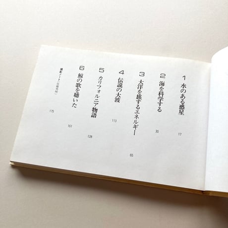 海まで100マイル