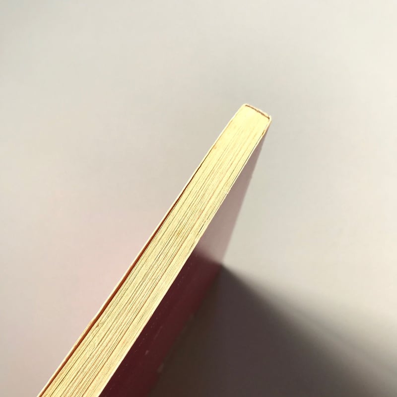 TROUT fishing in AMERICA | suiran