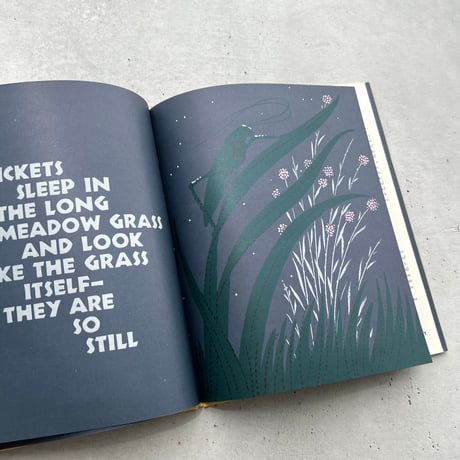 SLEEPY BOOK