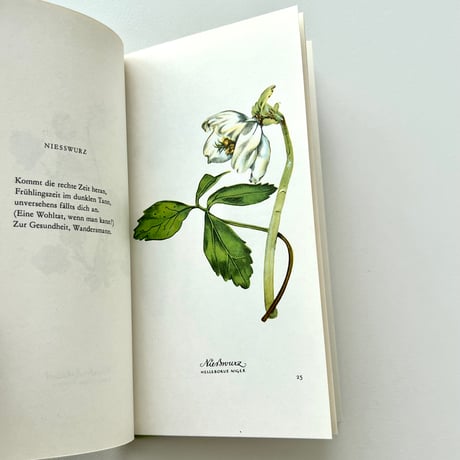 Heiteres Herbarium：Blumen und Verse