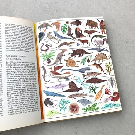 Les Merveilles de La Vie　生物学事典