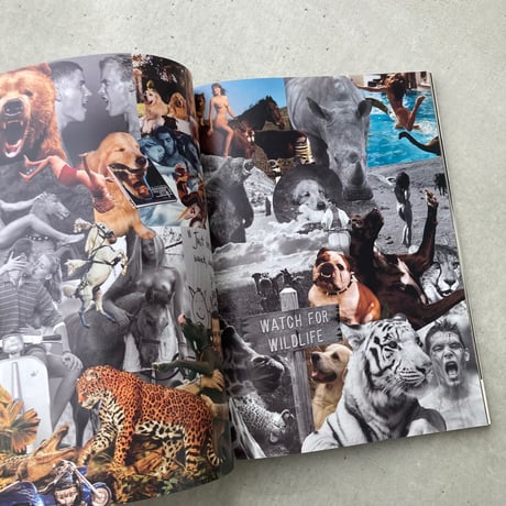BRUTUS no.576　ALL ABOUT BRUCE WEBER