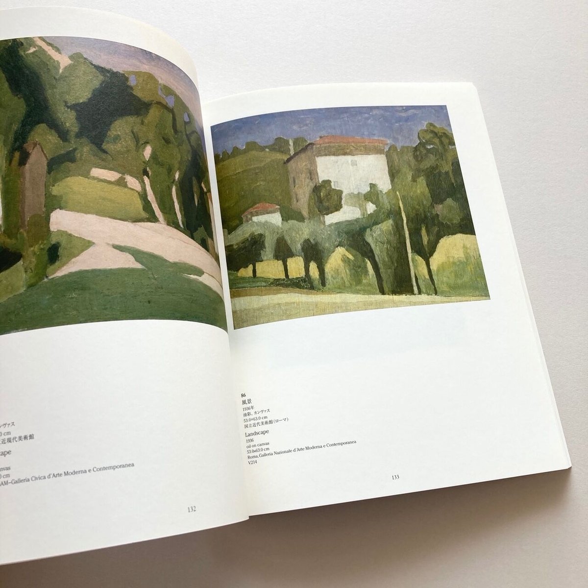 図録 ジョルジョ・モランディ 終わりなき変奏 | suiran