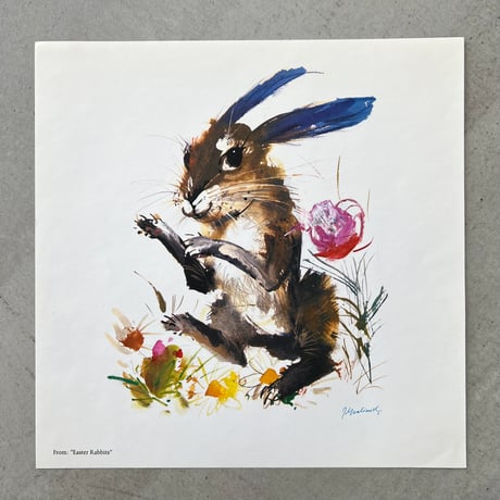 Grabianski’s Portfolio